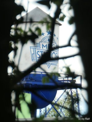 MP 10-05-21 15.jpg