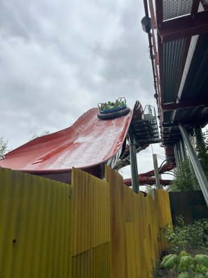IMG_6354.jpeg