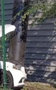IMG_0050.jpeg