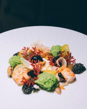 FB_IMG_1741374748730.jpg FB_IMG_1741374748730.jpg