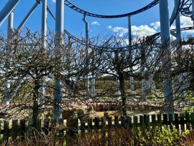 thumbnail_IMG_3691.jpg