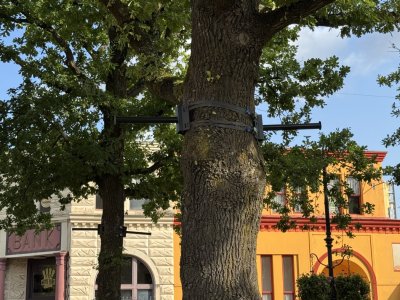IMG_3027.jpeg