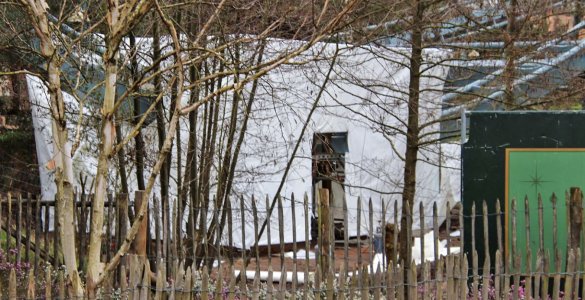 0317varafba2.jpg