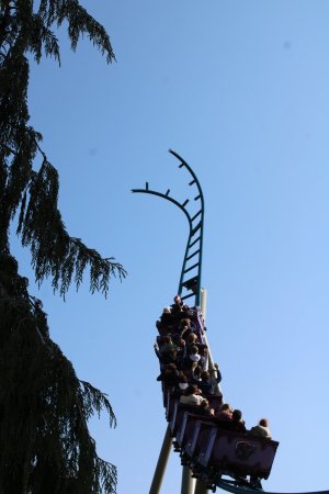IMG_0175.JPG