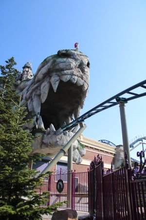 IMG_0184.JPG