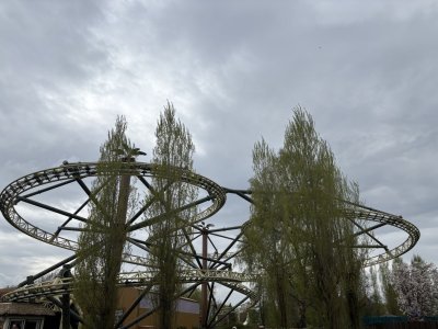 IMG_0624.jpeg