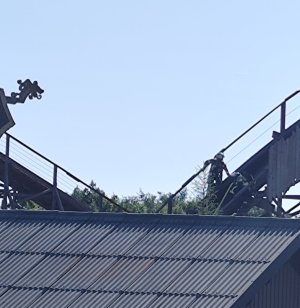 IMG_20260709_223002.jpg