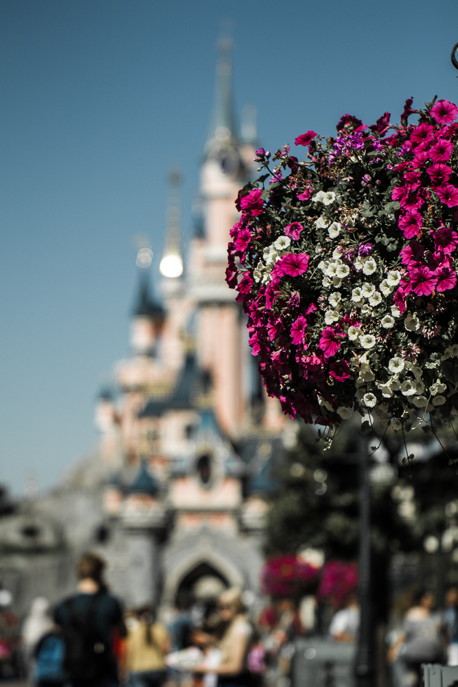Disneyland Paris 2016-2736.jpg