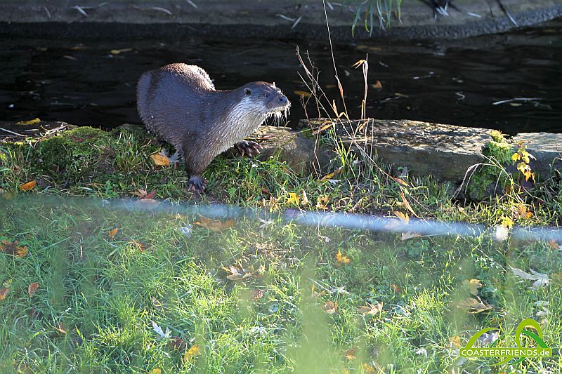 KölnerZoo_25.11.14_068.jpg