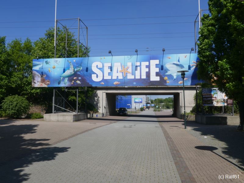 Sp O 26-04-20 Sea Life 01.jpg