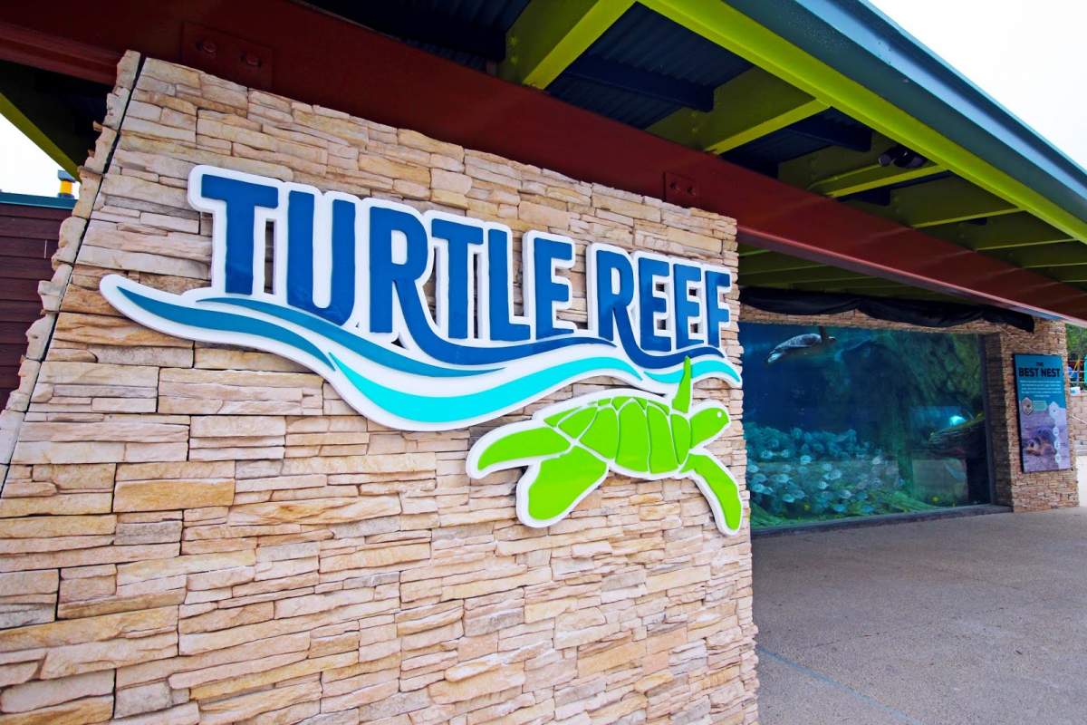 SWSA Turtle Reef 1.jpg