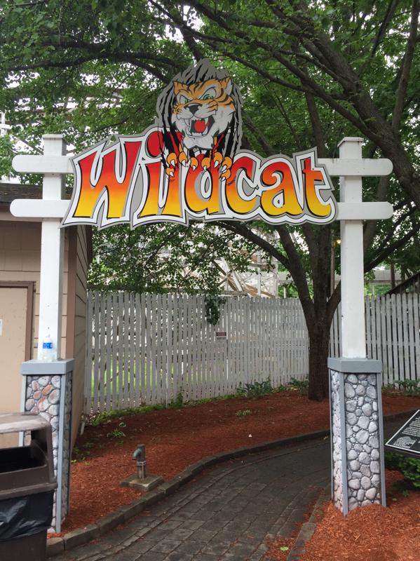 Wildcat.jpg