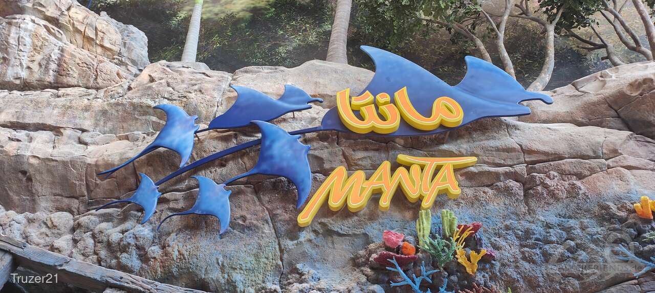 Manta im Park SeaWorld Abu Dhabi Impressionen