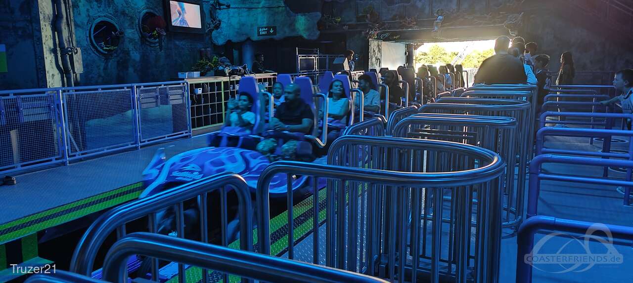 Manta im Park SeaWorld Abu Dhabi Impressionen