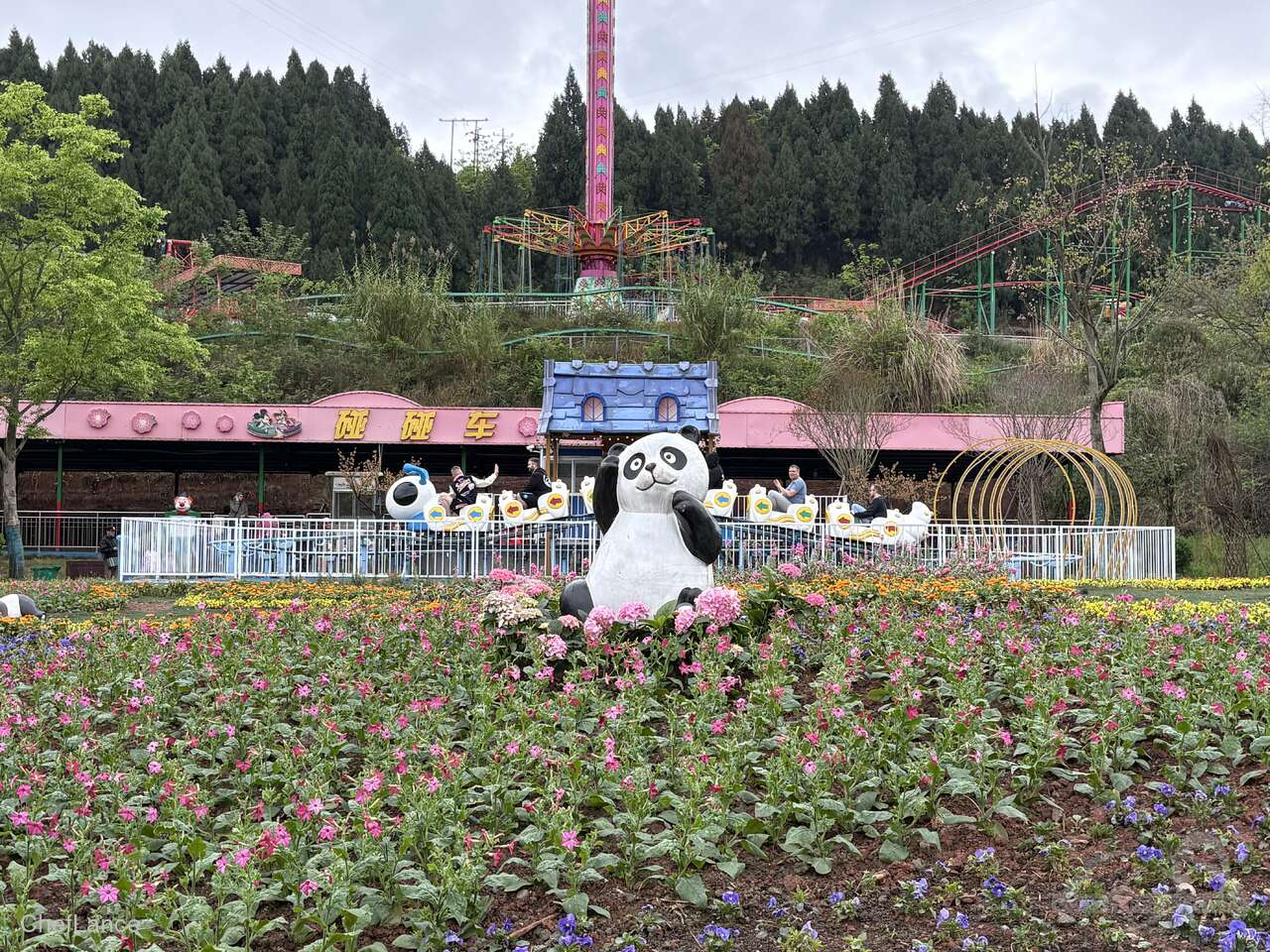 Bug Tackle im Park Suining Happy World Impressionen