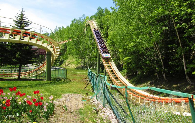 Mountain Coaster im Park Rusutsu Resort Impressionen