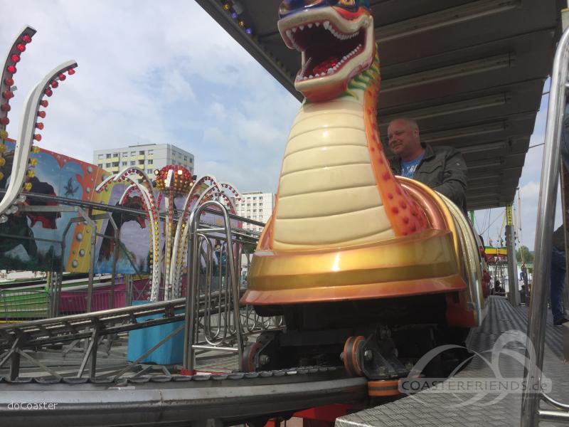 Drachen im Park Kammerhofer J. & P. Impressionen