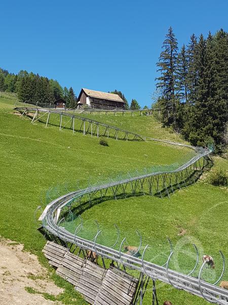 Rodelbahn im Park Rodelbahn Pradaschier Impressionen