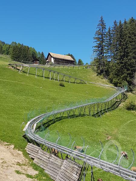 Rodelbahn im Park Pradaschier Impressionen