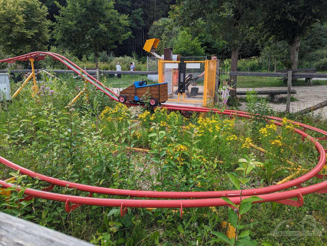 BergTierPark Blindham Impressionen