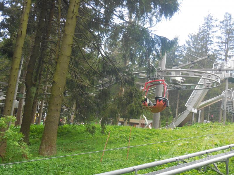 Hexenbesen im Park Ski- und Rodelarena Wasserkuppe Impressionen