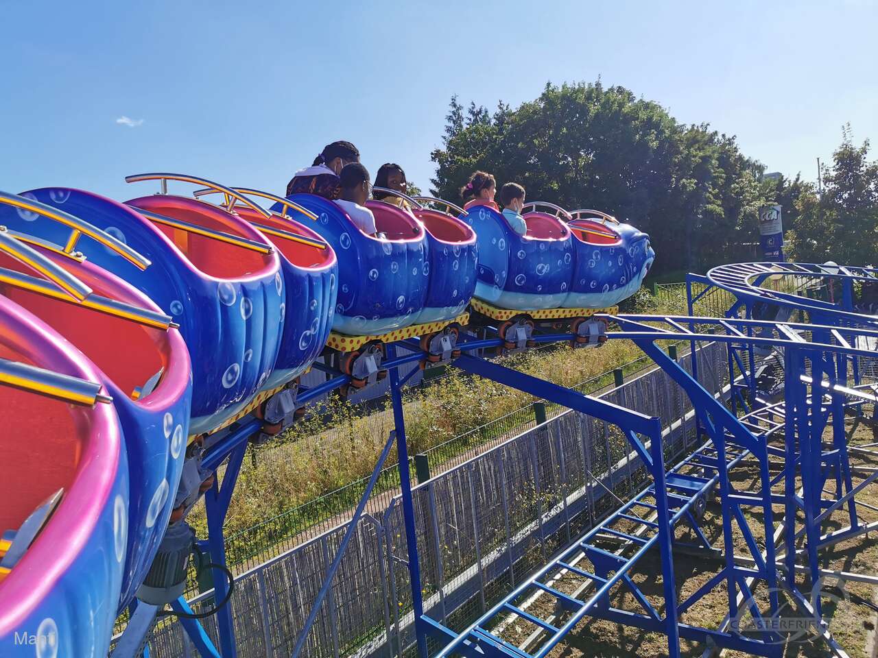 Requin im Park Loos Parc Impressionen