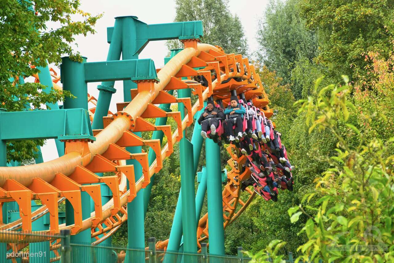 Condor im Park Walibi Holland Impressionen