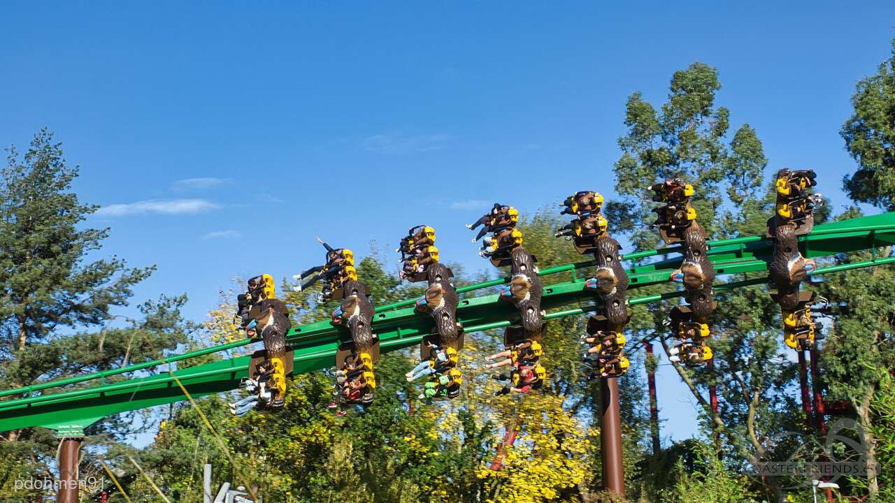 Mandrill Mayhem im Park Chessington World of Adventures Impressionen