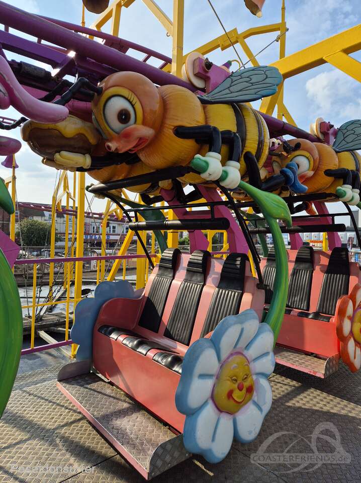 Queen Bee im Park Botton's Pleasure Beach Impressionen