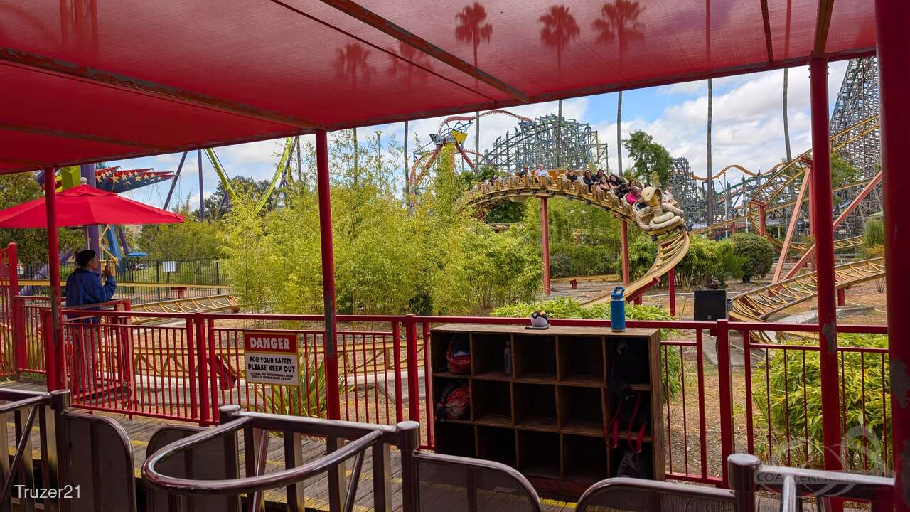 Cobra im Park Six Flags Discovery Kingdom Impressionen