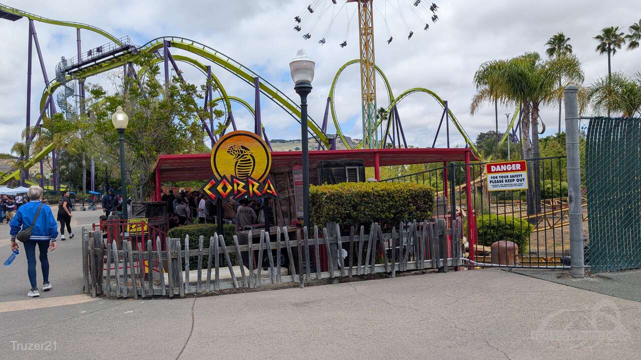 Cobra im Park Six Flags Discovery Kingdom Impressionen