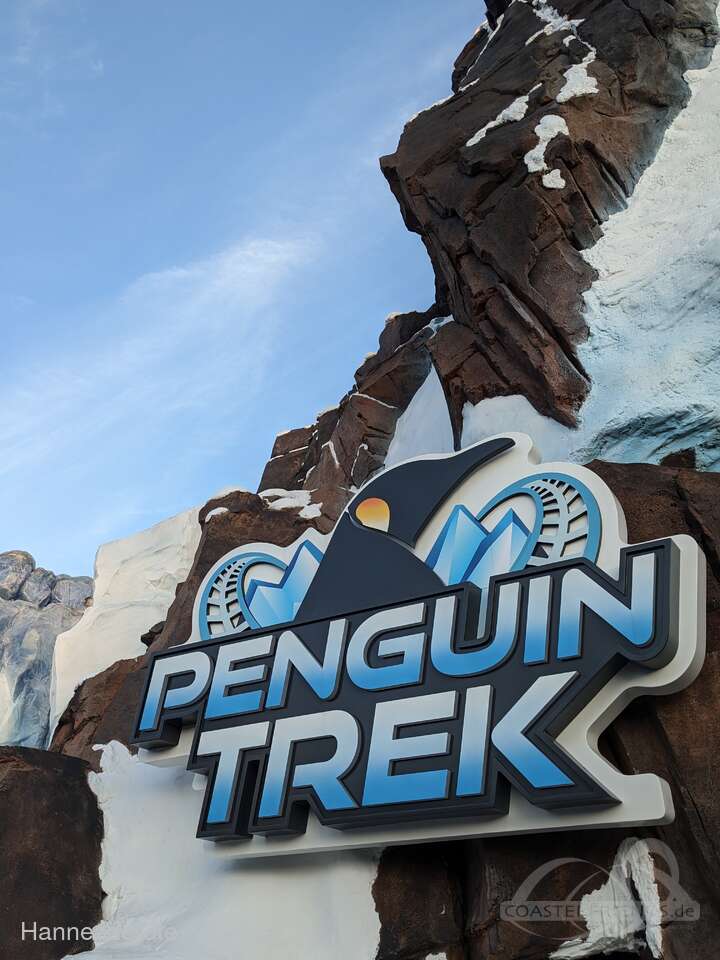 Penguin Trek im Park SeaWorld Orlando Impressionen