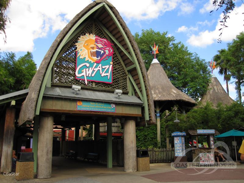 Gwazi (Tiger) im Park Busch Gardens Tampa Impressionen