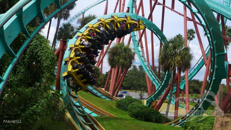 Kumba im Park Busch Gardens Tampa Impressionen