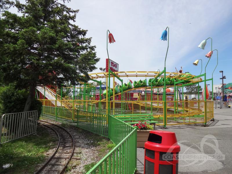 TL3 Coaster im Park Adventurers Family Entertainment Center Impressionen