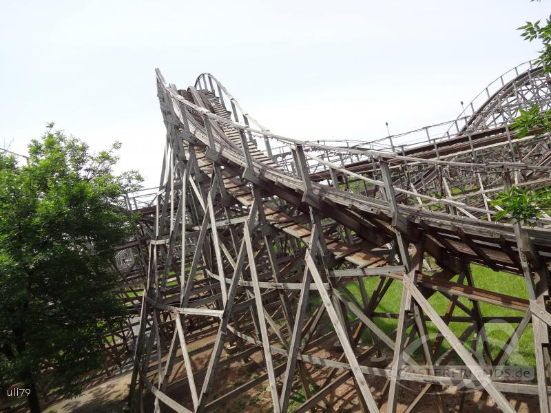 Wildcat im Park Hersheypark Impressionen