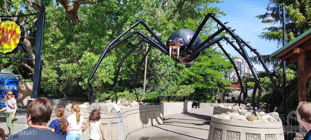 Spider im Park Lagoon Impressionen