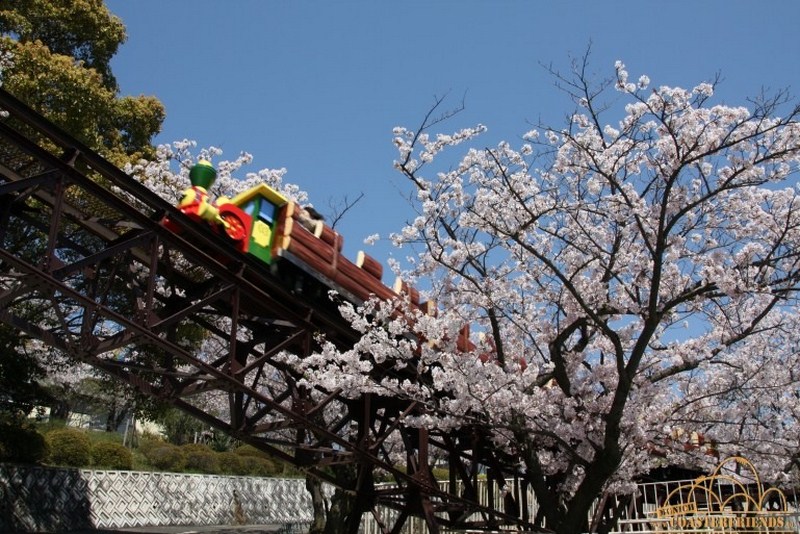 Sunny Island Impressionen