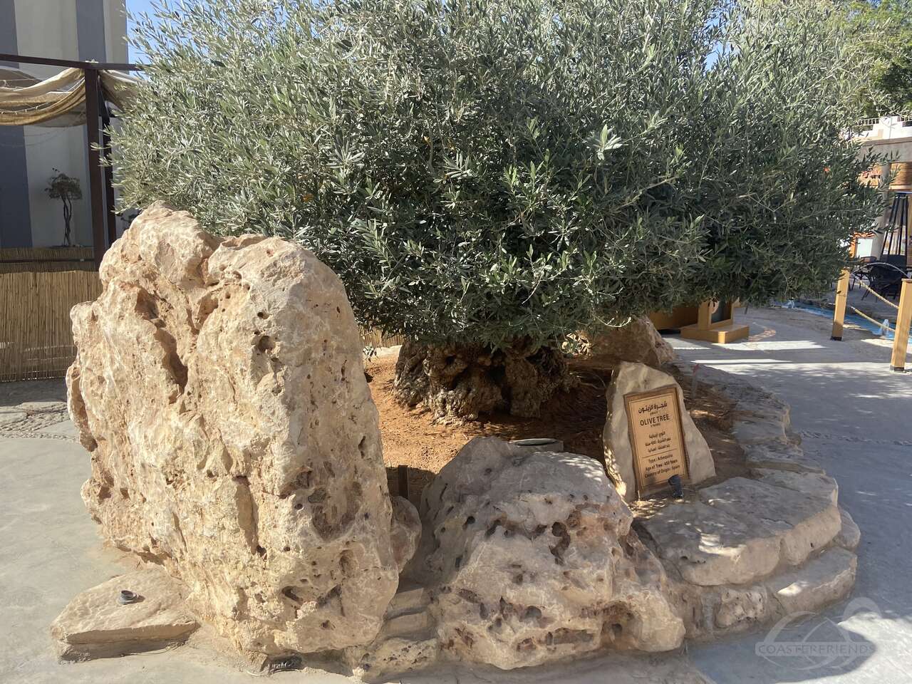 Al Watan Park Impressionen