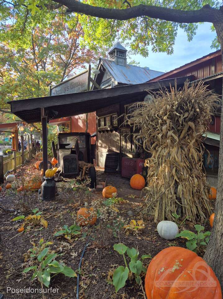 Bengtson's Pumpkin Farm Impressionen